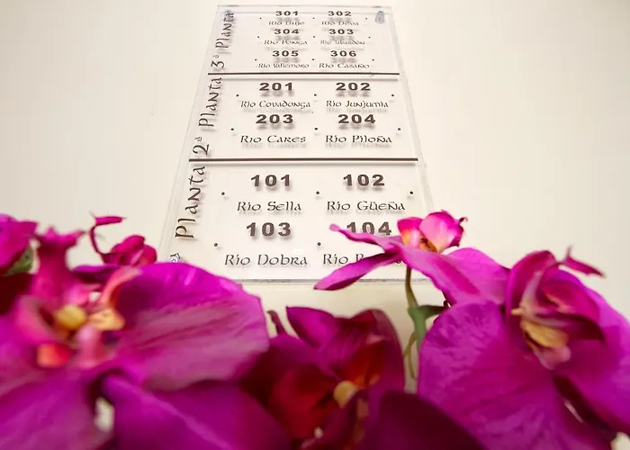 Don Clemente Las Rozas